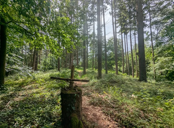Dachsberg