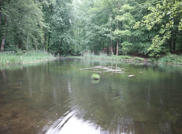 Goetheteich