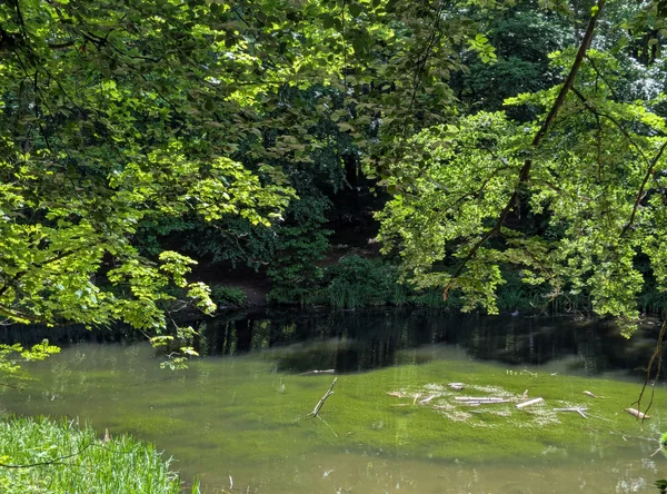 Goetheteich