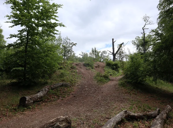 Herrgottsberg